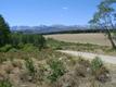 Circle Park & the Bighorn Mountains