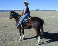 trailride-002.jpg (7060 bytes)